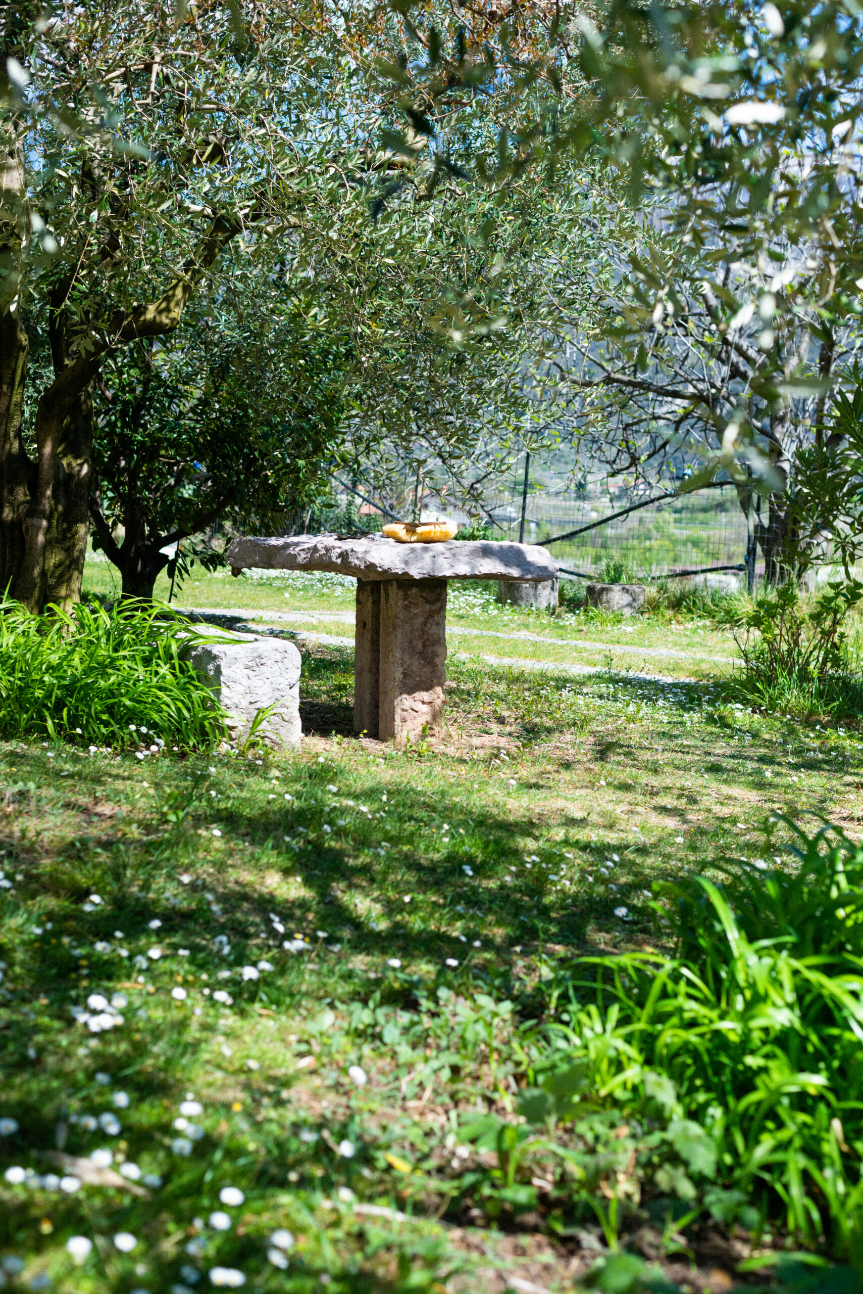 Avrai l'opportunità di vivere da vicino la vita rurale e prendere parte alle attività quotidiane della fattoria. Puoi scattare foto con le anatre, apprendere antiche tecniche agricole o semplicemente goderti la tranquillità e la bellezza che circonda la proprietà. Siamo felici di condividere con voi la nostra conoscenza della regione e darvi preziosi consigli su monumenti, percorsi naturalistici e attività culturali.