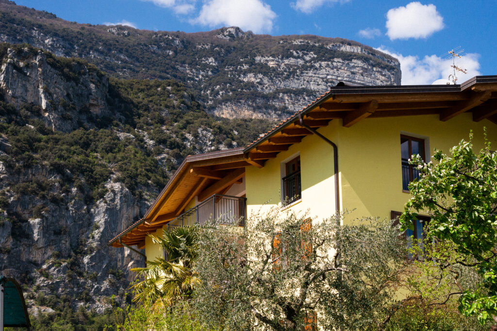 Lascia che la natura ti racconti la sua storia: in agriturismo scoprirai il fascino di un passato autentico.​